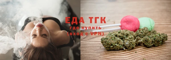 индика Володарск