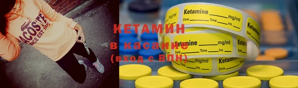 индика Осинники