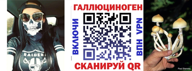Псилоцибиновые грибы Psilocybine cubensis  Верхнеуральск 